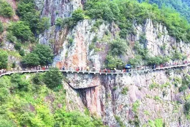 李建成如果当上皇帝的话,李建成会不会对李世民下手?你怎么看?红迪网-探索全新兴趣社区